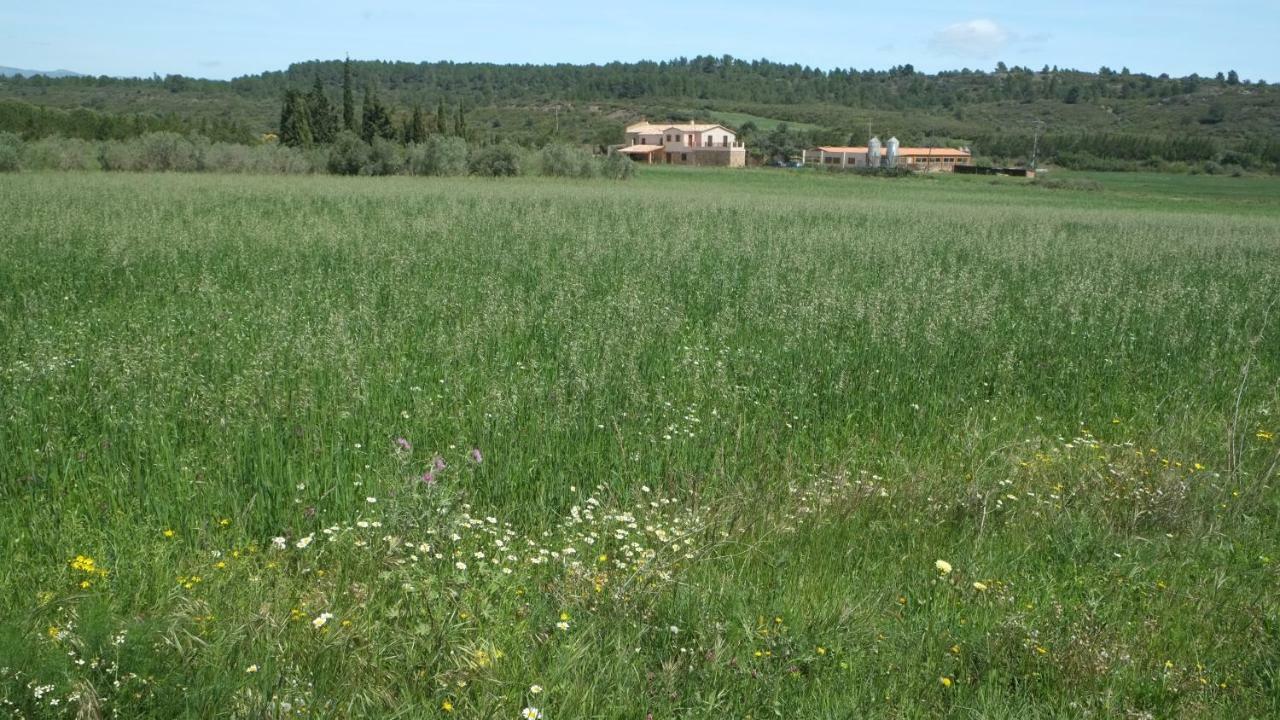 La Masia De Montpedros Peralada Ngoại thất bức ảnh